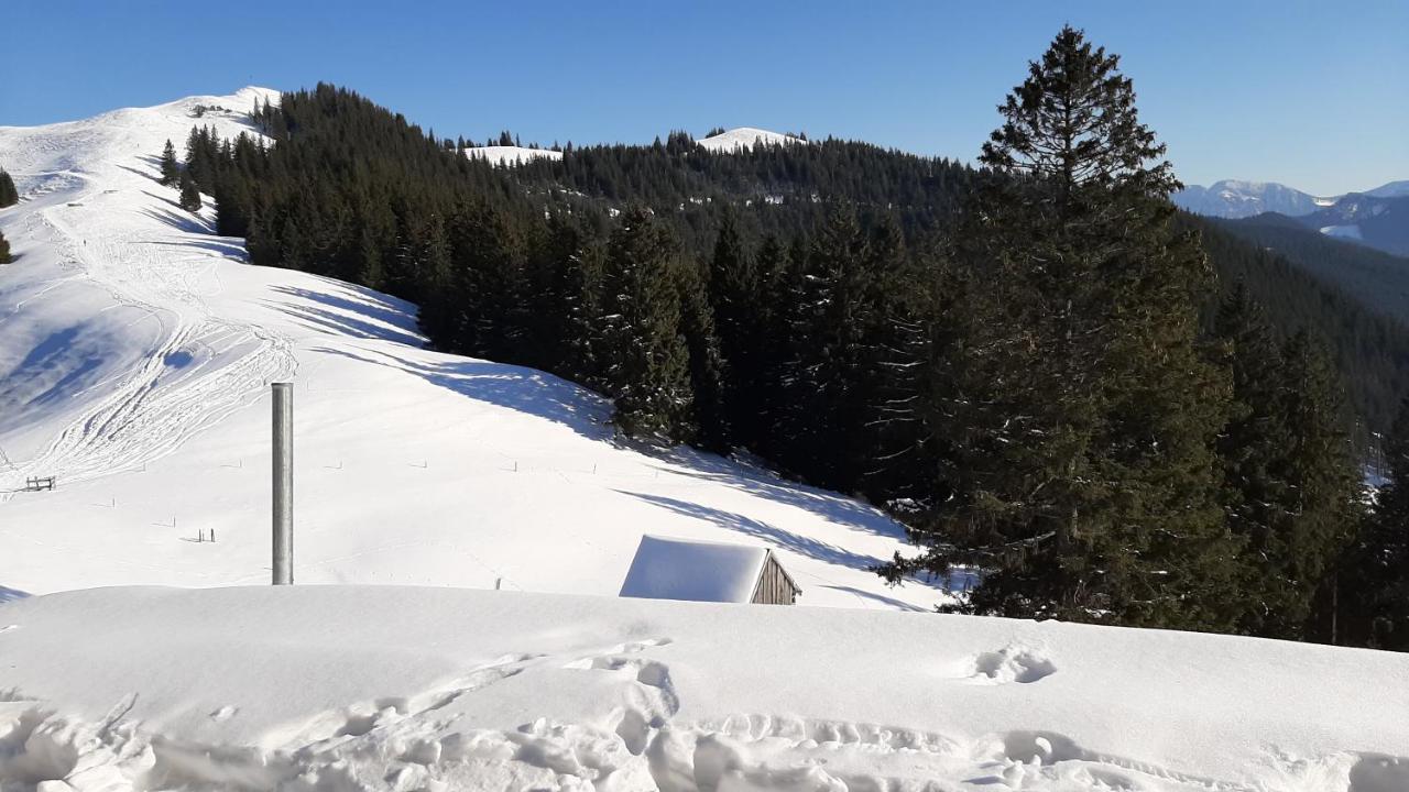 Kultur, Berge, Seen, Moor - Lebensglueck *