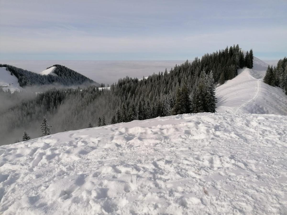 Kultur, Berge, Seen, Moor - Lebensglueck Apartment *